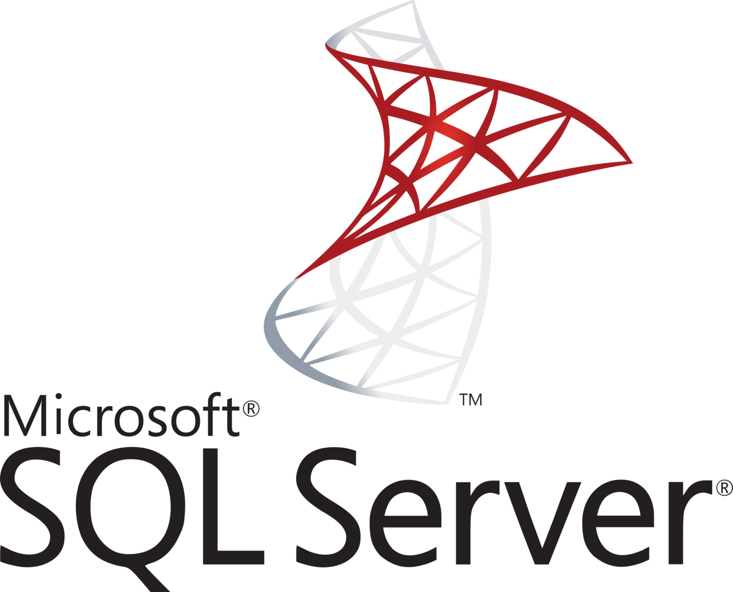 sql server поддержка